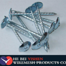 Q195 umbrella head twist shank roofing nails